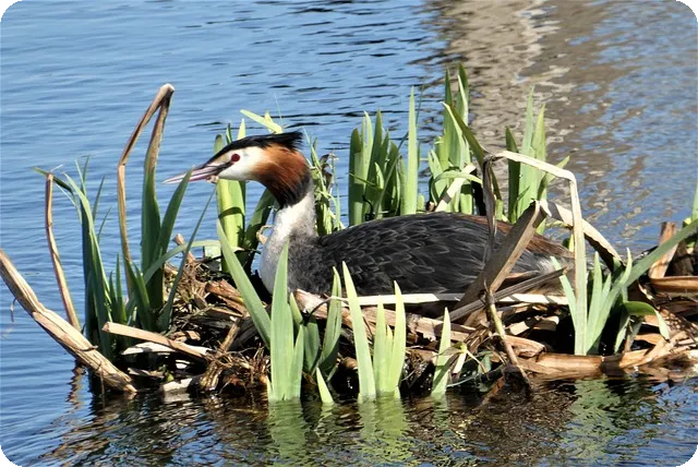 갱년기 건강관리 핵심 가이드와 추천 영양제로 활기찬 삶