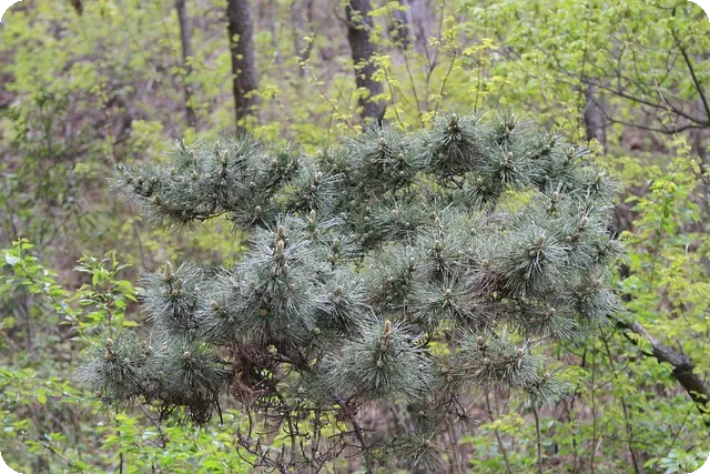 건강정보 사이트로 알아보는 올바른 건강관리법