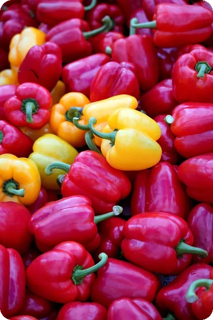 건강한 다이어트 비법과 효과적인 실천 전략