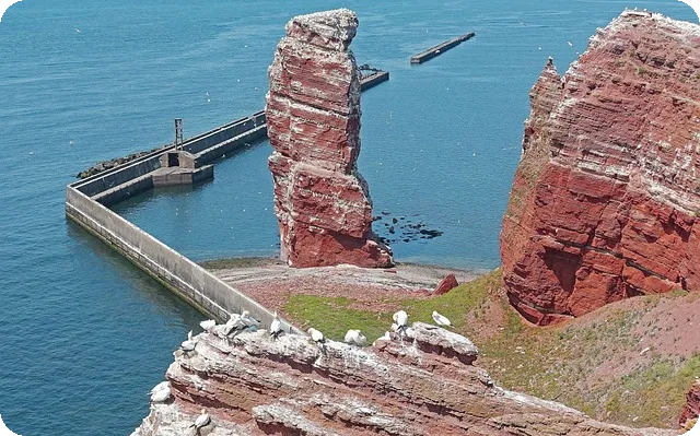 고지혈증 식단 핵심 가이드 혈관 건강 지키는 방법
