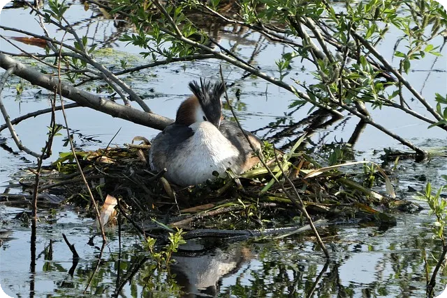 루테인 효능으로 눈 건강 지키기 궁금증 해결