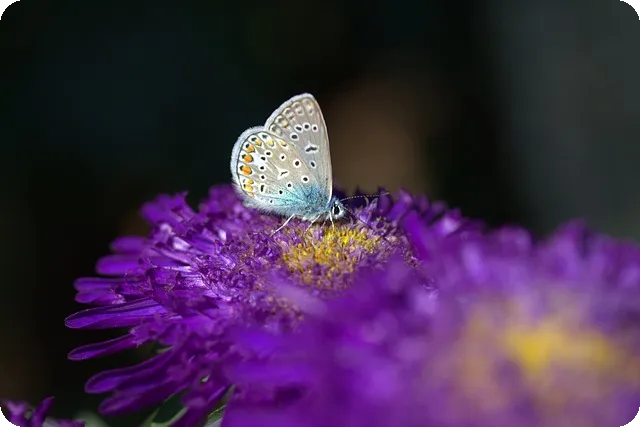 안구건조증 자가진단으로 눈 건강 체크하기
