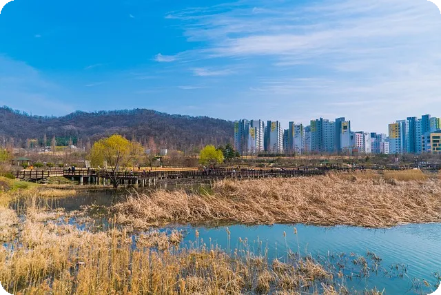 두통 종류별 원인과 효과적 대처법