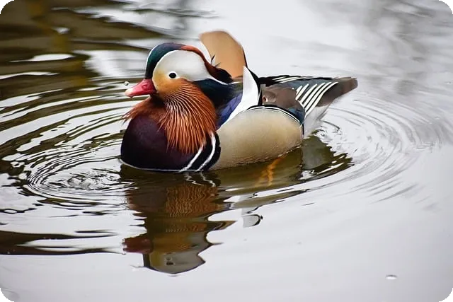 비타민D 결핍 증상과 해결법 완전 정복