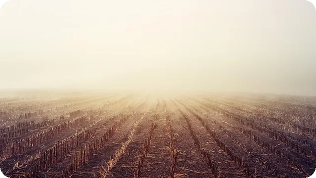 비타민D 결핍 증상과 해결법 완전 정복