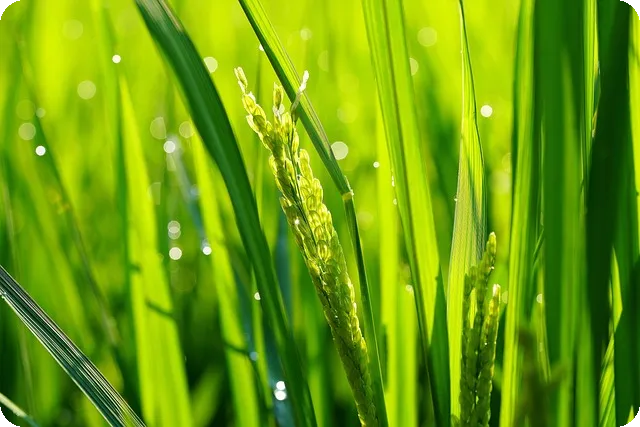 비타민D 결핍 증상과 해결법 완전 정복