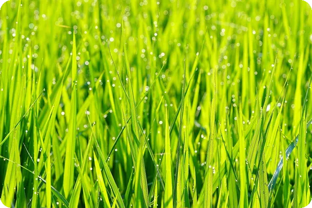 스마트워치 건강관리로 건강 혁신하는 방법은?