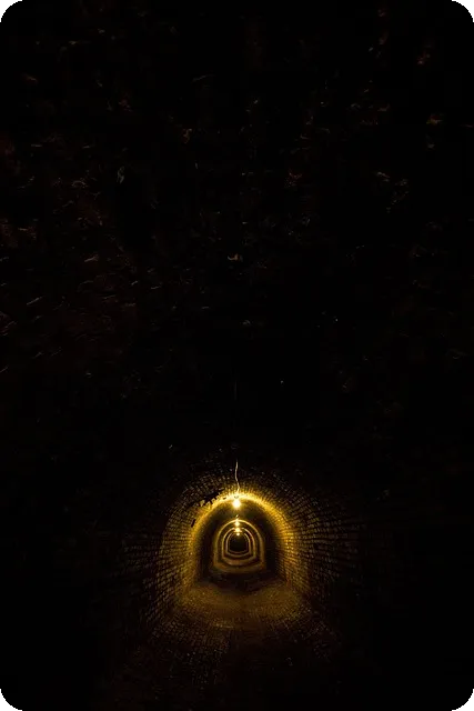 치매 예방 습관으로 두뇌 건강 지키기