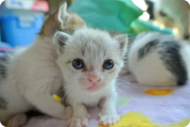 치매 예방 습관으로 두뇌 건강 지키기