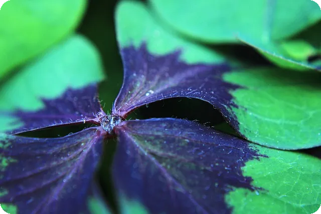 치매 예방 습관으로 두뇌 건강 지키기