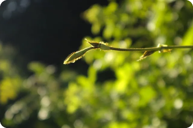 스트레스 해소법으로 건강한 마음 일상 만들기