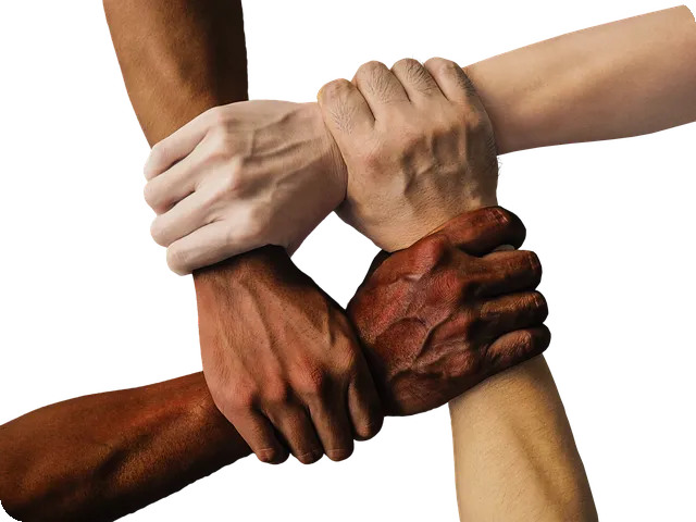 옥수수 섭취와 혈당 관리 방법 쉽고 효과적인 전략